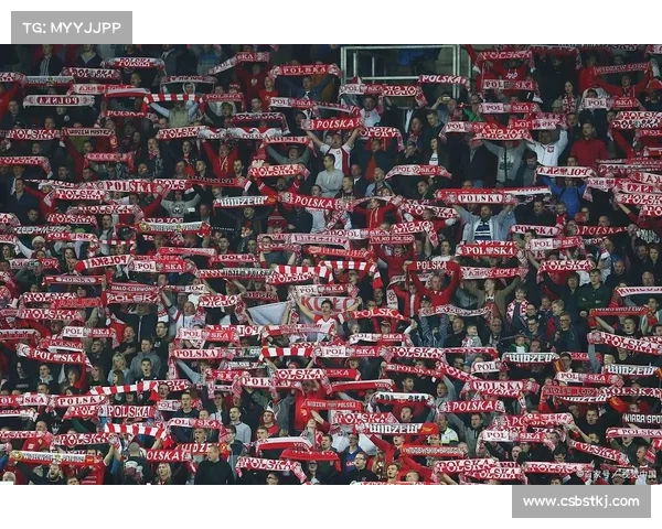 拜仁为何能在德甲长期称霸并保持统治地位探究其稳定优势与深层原因